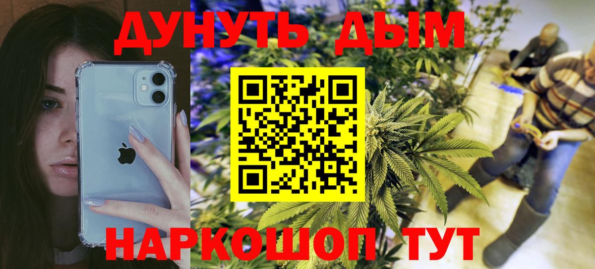 Бошки Шишки семена Камышин