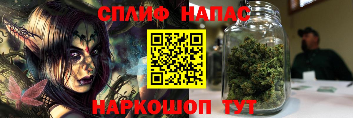 Конопля план  Бошки марихуана план  МАРИХУАНА VHQ  Марихуана SATIVA & INDICA  Камышин  Вход с VPN 